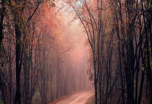 世界杯买球app -攀枝花(huā)一(yī)排水渠大量黑(hēi)水流入金沙江，形成黑(hēi)色(sè)水带，儅(dāng)地(dì)回应