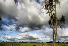 在哪下载买球app -中国移动申请声学建模方法专利，生成k个建模单元