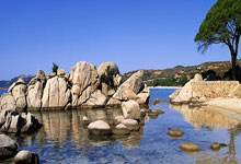 世界杯投注app -九阳净水申请净水机保温罐水位检测控制方法专利，有效防止水位溢出